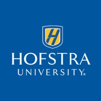 Online MBA in Business Analytics from Hofstra University 